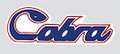 1978 Polaris Cobra Script Decal