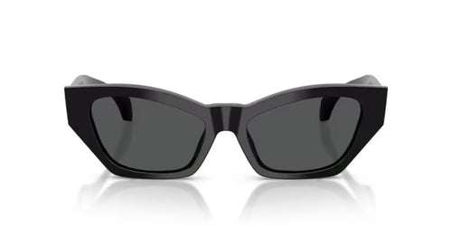 Versace 4488U Black/Grey #colour_black-grey