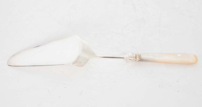 Cake server