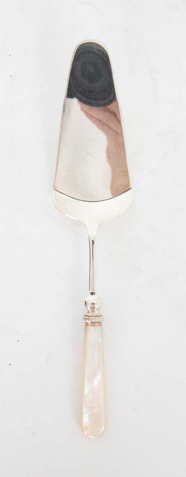 Cake server