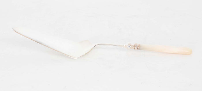 Cake server