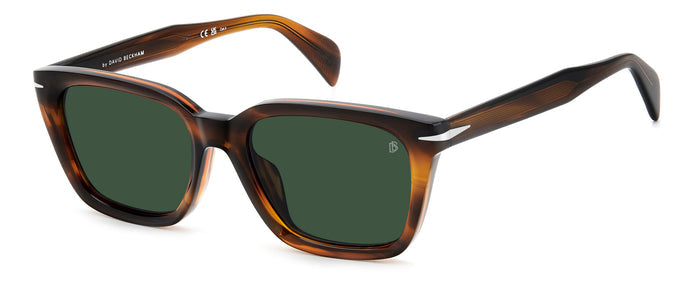 Brown/Green / 55