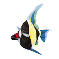 Douglas - Lady the Moorish Idol Fish