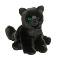 Douglas Salem Black Cat