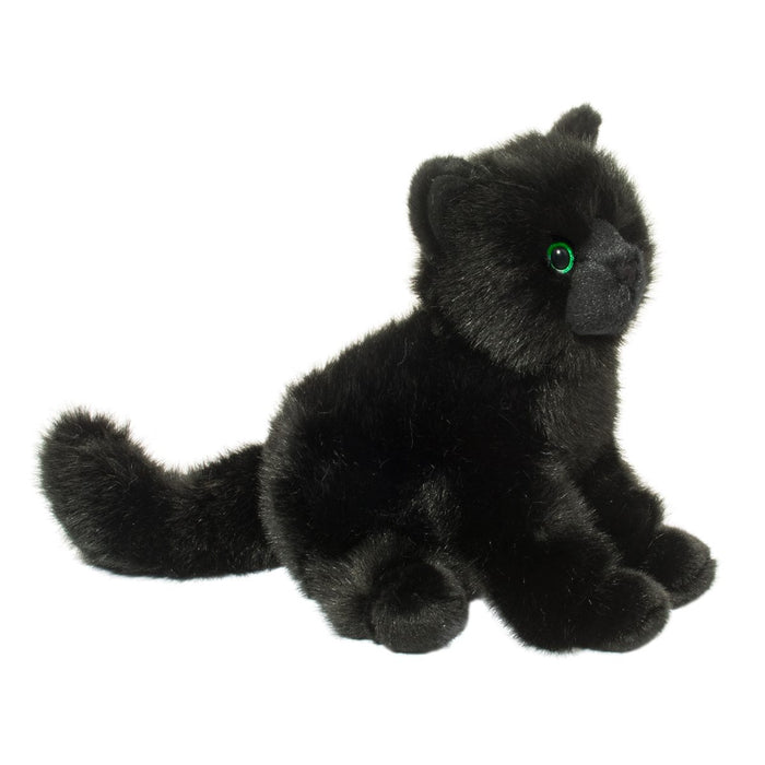 Douglas Salem Black Cat
