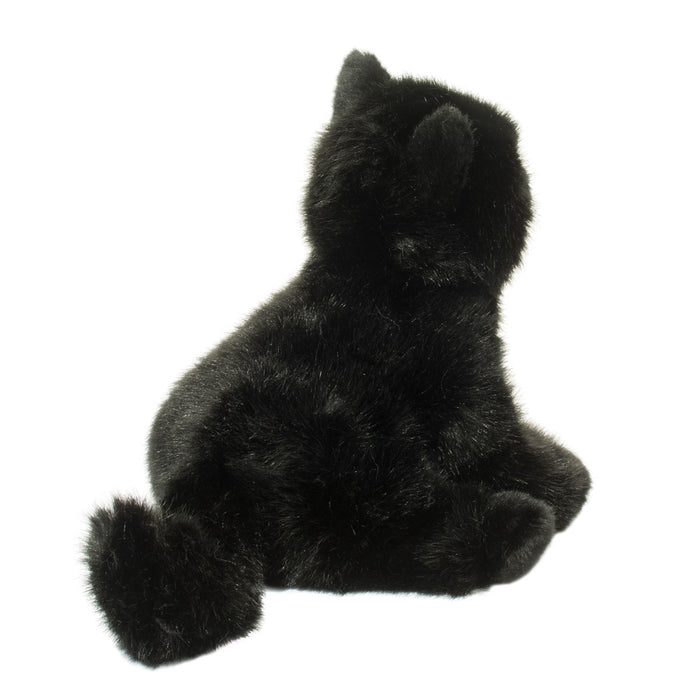 Douglas Salem Black Cat