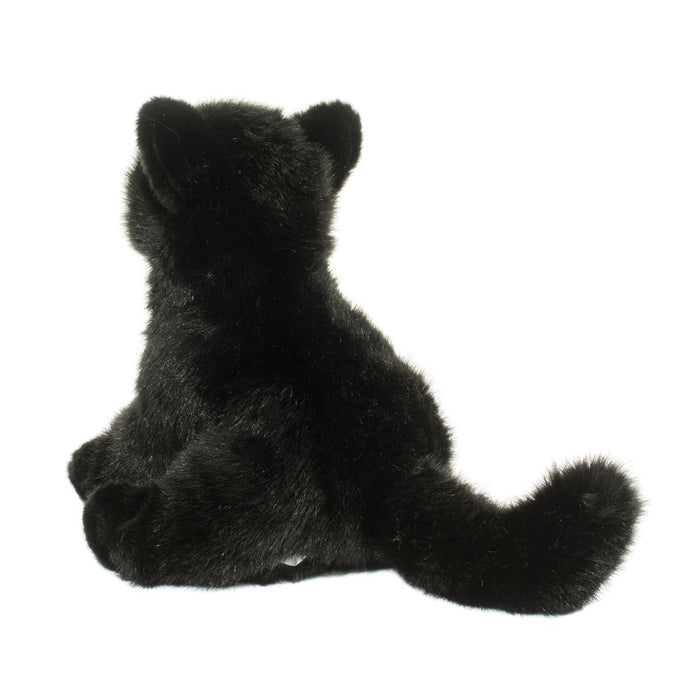 Douglas Salem Black Cat