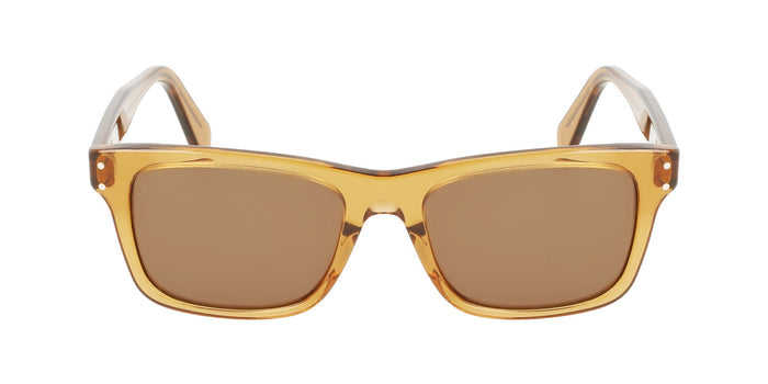 Ferragamao SF1039S Brown/Brown #colour_brown-brown