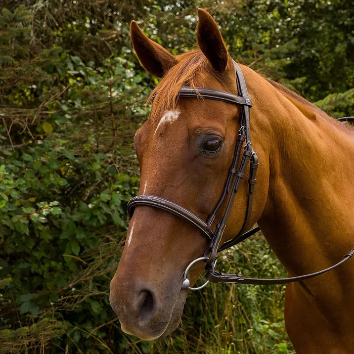 HDR Pro Mono Fancy Stitched Padded Bridle