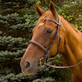HDR Pro Mono Fancy Stitched Padded Bridle
