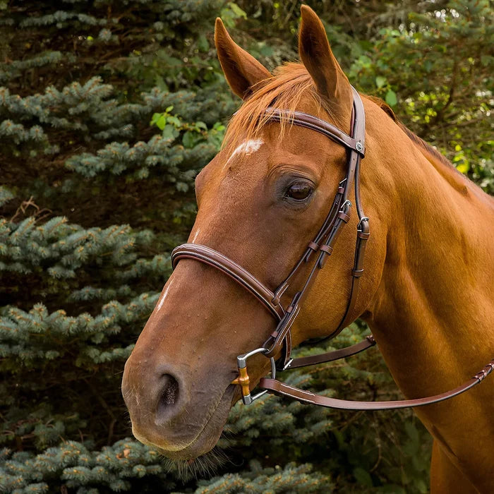 HDR Pro Mono Fancy Stitched Padded Bridle