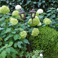 Lantern with Stand-Julia B. Casa