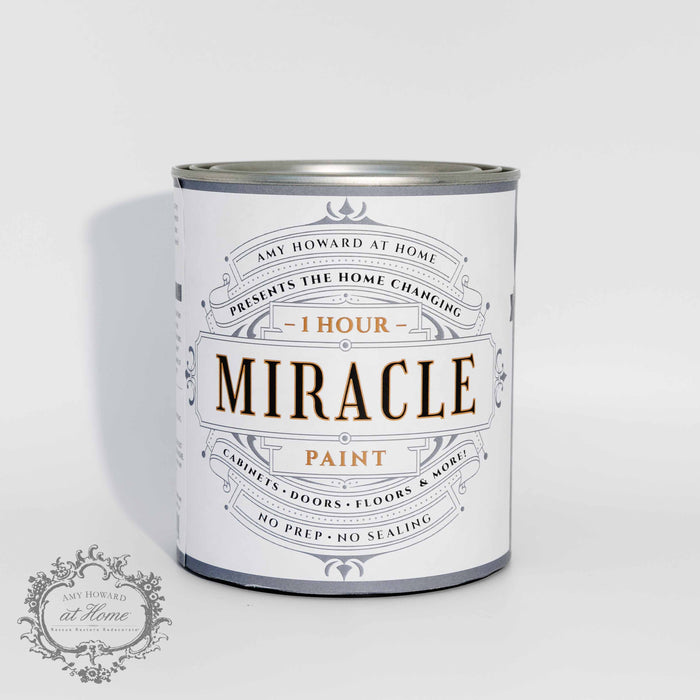 One Hour Miracle Paint - Graphite