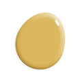 One Hour Miracle Paint - Holey Moley