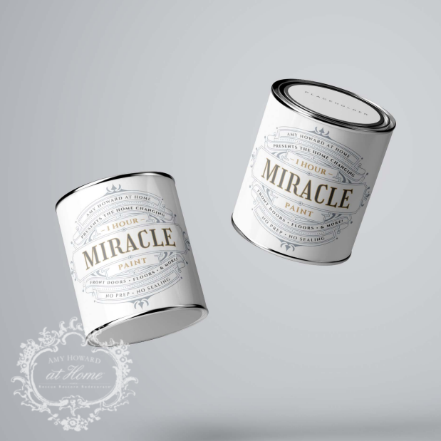 One Hour Miracle Paint - Holey Moley