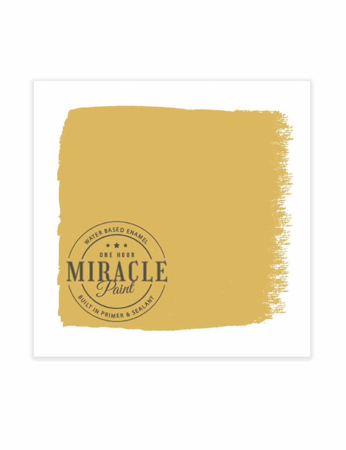 One Hour Miracle Paint - Holey Moley