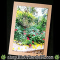 PHOTO CARDS: Limited Edition Lukas Nursery Oviedo Photo Cards by Kathryn McHenry