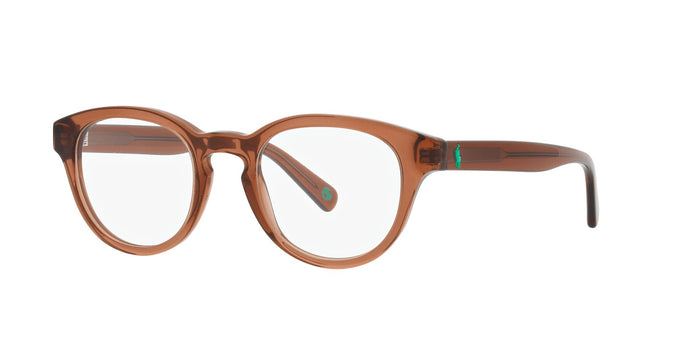 Shiny Transparent Brown / 48