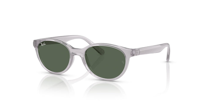 Transparent Grey/Dark Green / 45