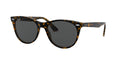 Havana On Transparent Brown/Dark Grey / 52