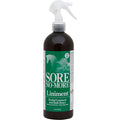 Sore No-More Spray Liniment
