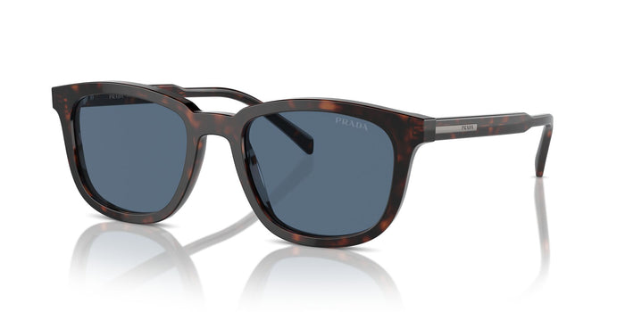 Radica Tortoise/Dark Blue / 53