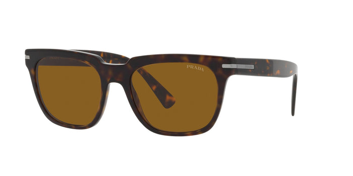 Tortoise/Brown / 56