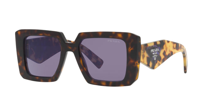 Tortoise/Violet Mirror Internal Silver / 51
