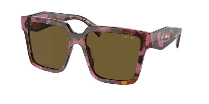 Tortoise Cognac Begonia/Dark Brown / 56