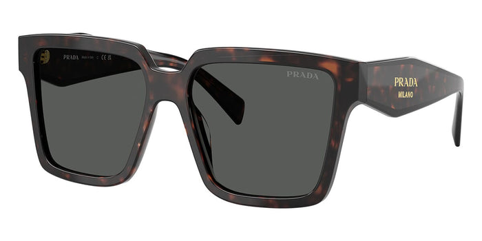 Root Tortoise/Dark Grey / 56