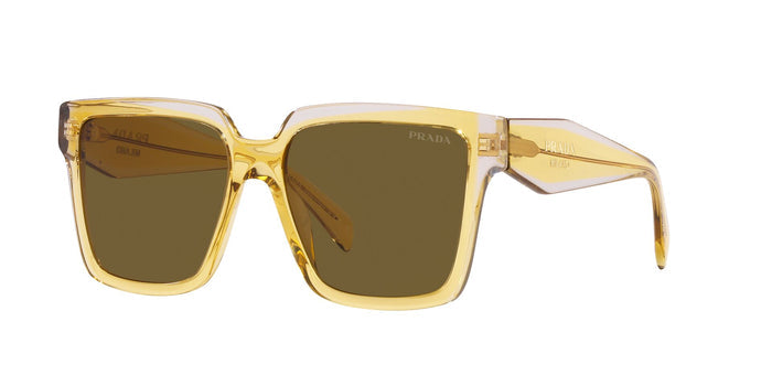 Ocher-Crystal Grey/Dark Brown / 56