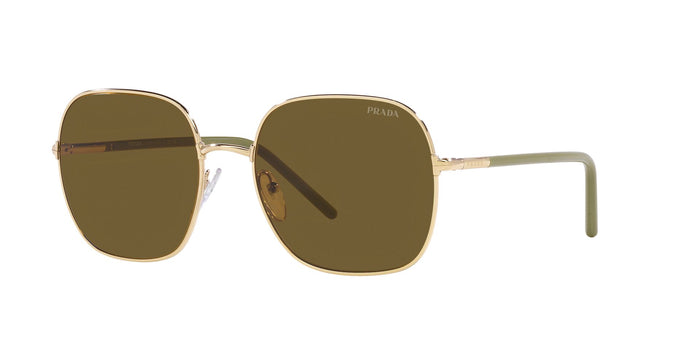 Pale Gold/Dark Brown / 55