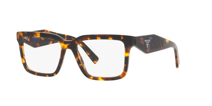Honey Tortoise / 54