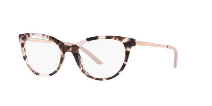 Light Tortoise / 51